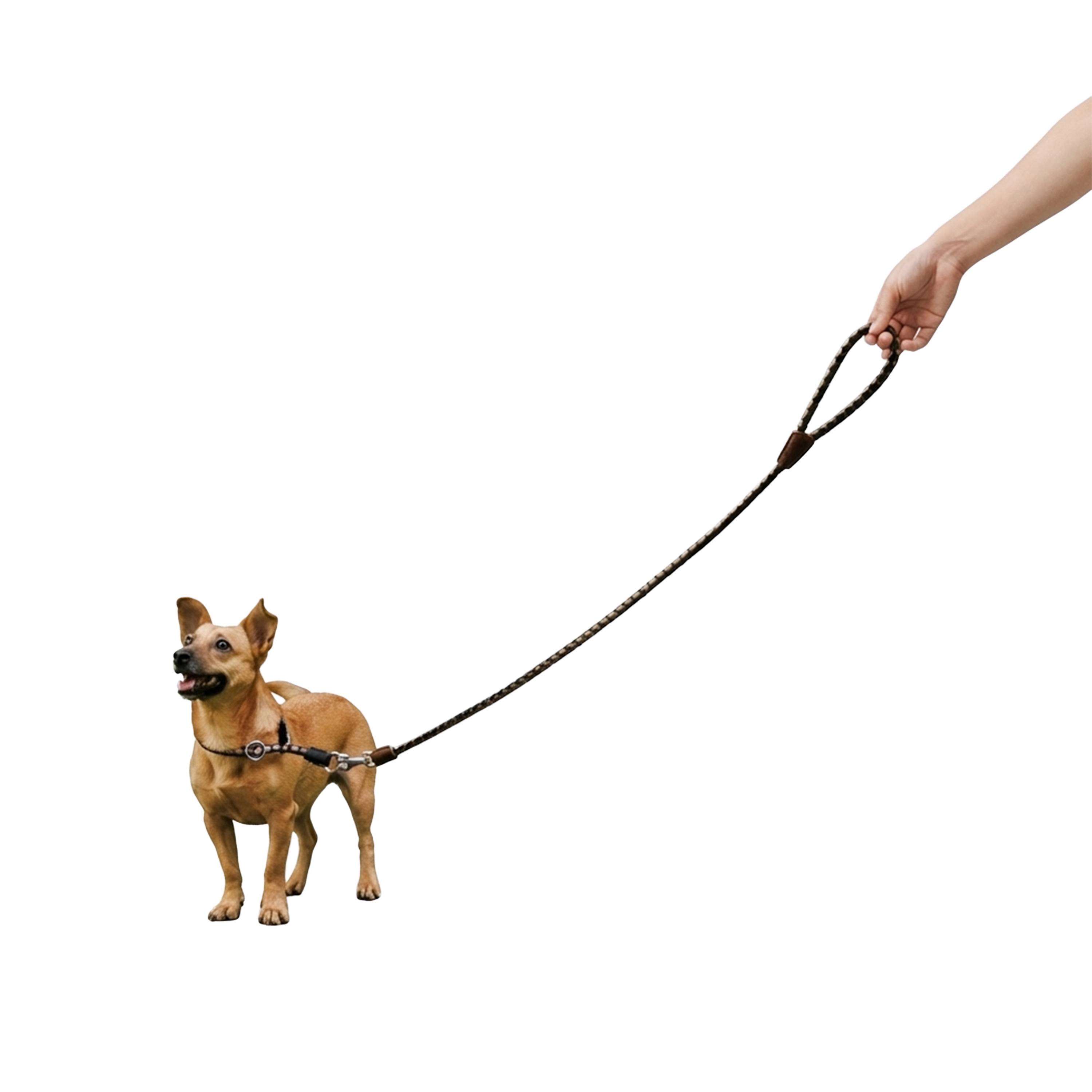 Ferplast - Laisse pour Chiens en Nylon Tressé TWIST MATIC G12/110 avec Mousqueton Magnétique Automatique - Imagen 4