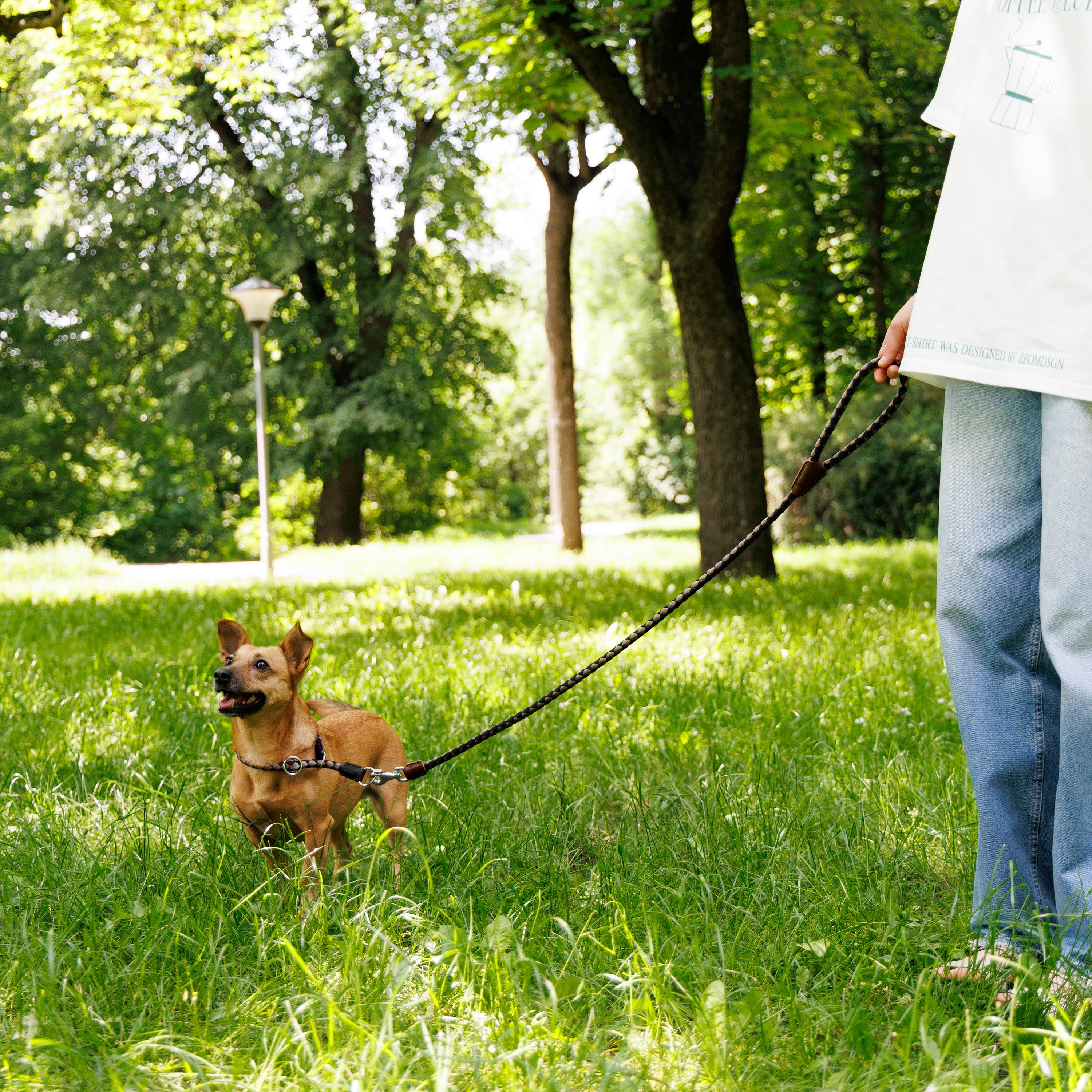 Ferplast - Laisse pour Chiens en Nylon Tressé TWIST MATIC G12/110 avec Mousqueton Magnétique Automatique - Imagen 3