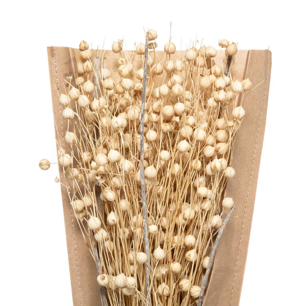 Atmosphera - Bouquet fleurs séchées H45cm - Atmosphera Créateur d'intérieur - Imagen 5