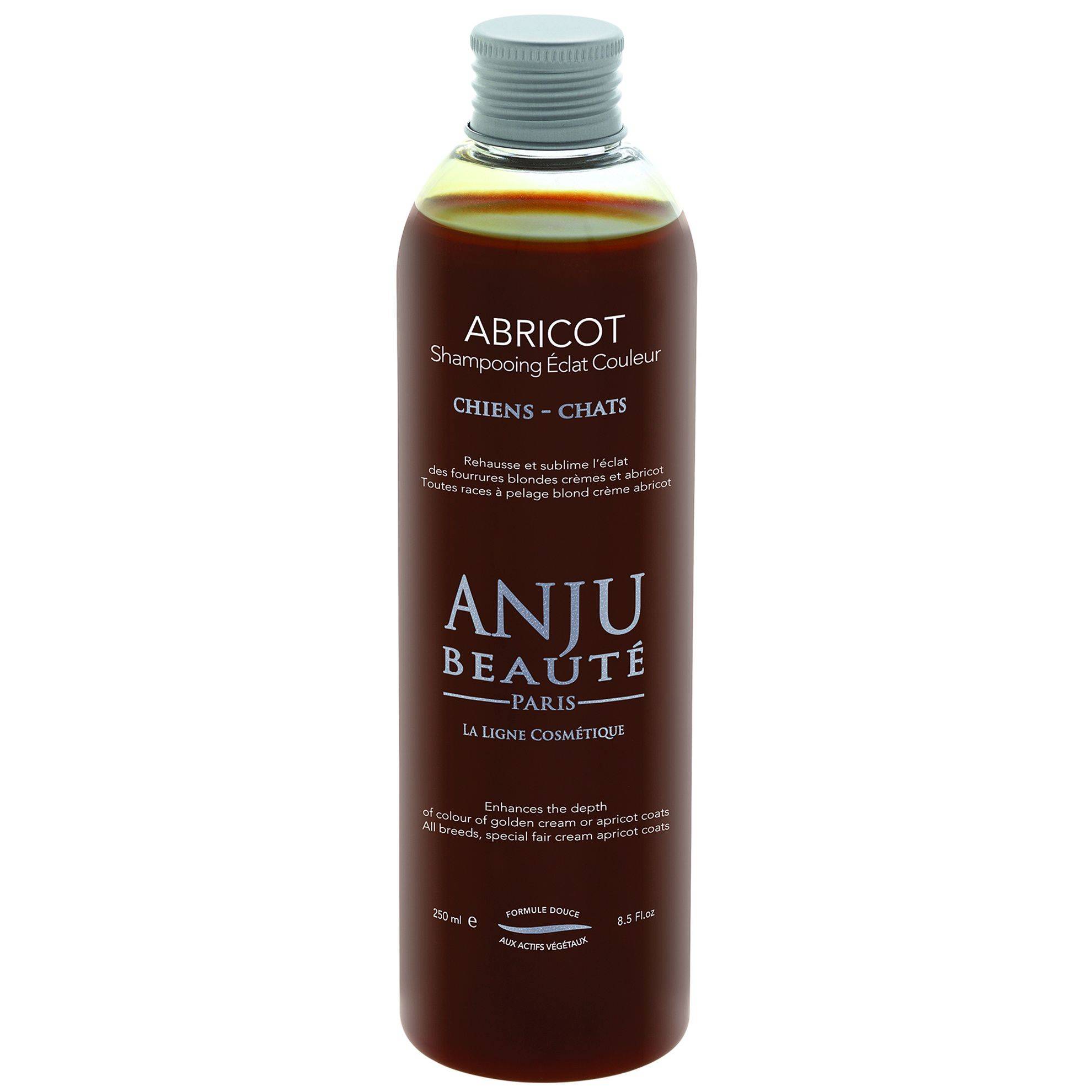Anju Beaute - Shampooing Abricot Anju Beauté : 250ml ANJU BEAUTÉ