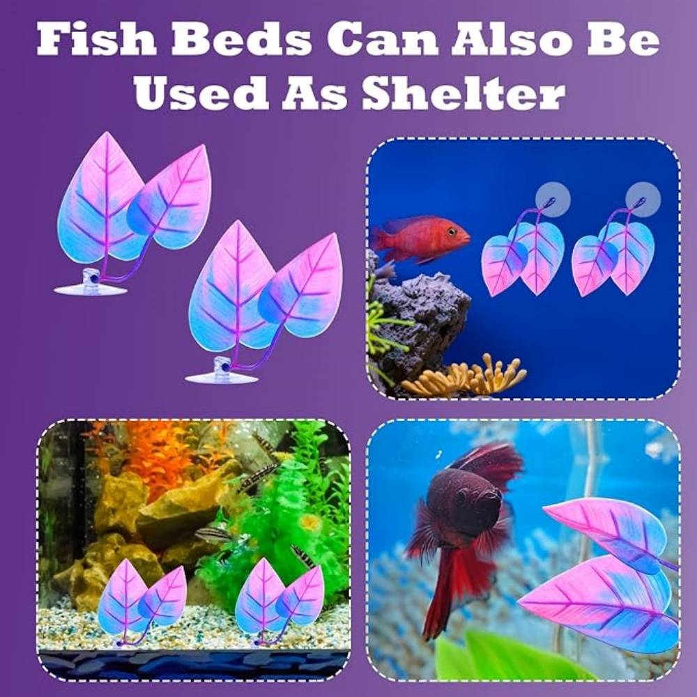 DtopbuyAge - Lot de 2 accessoires pratiques pour aquarium DtopbuyAge - Image 3