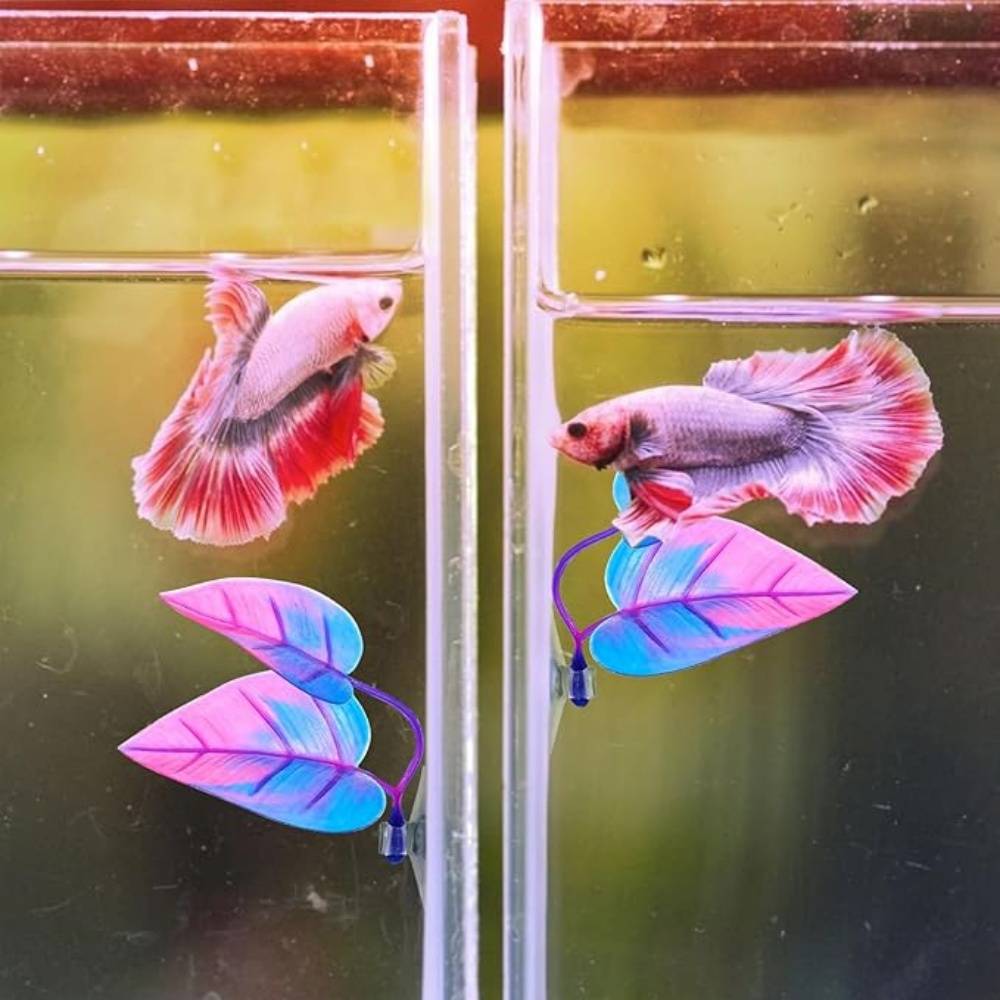 DtopbuyAge - Lot de 2 accessoires pratiques pour aquarium DtopbuyAge - Image 5