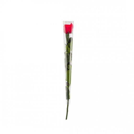 Naturalys - Naturalys - Rose en tige stabilisée Coloris rouge