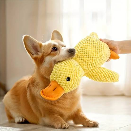 IntiMeg - Jouet pour chien Canard jaune endormi IntiMeg - Image 3