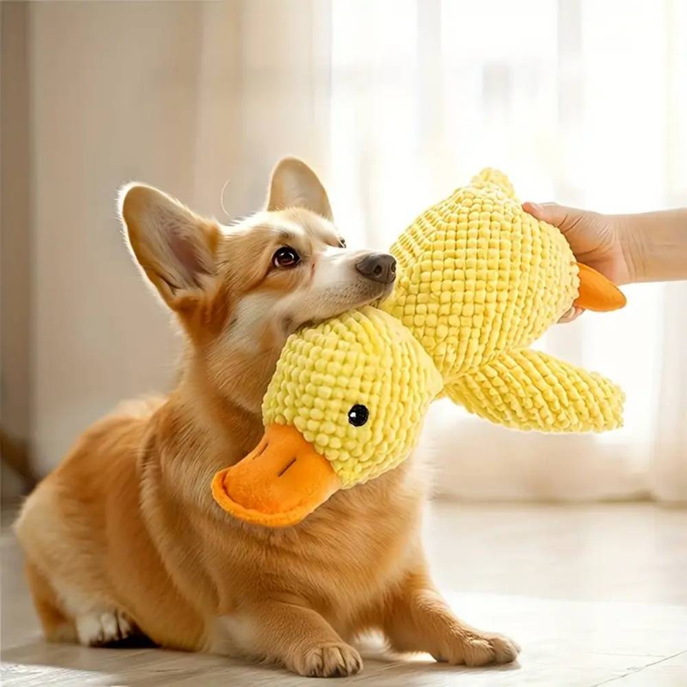 IntiMeg - Jouet pour chien Canard jaune endormi IntiMeg - Image 3