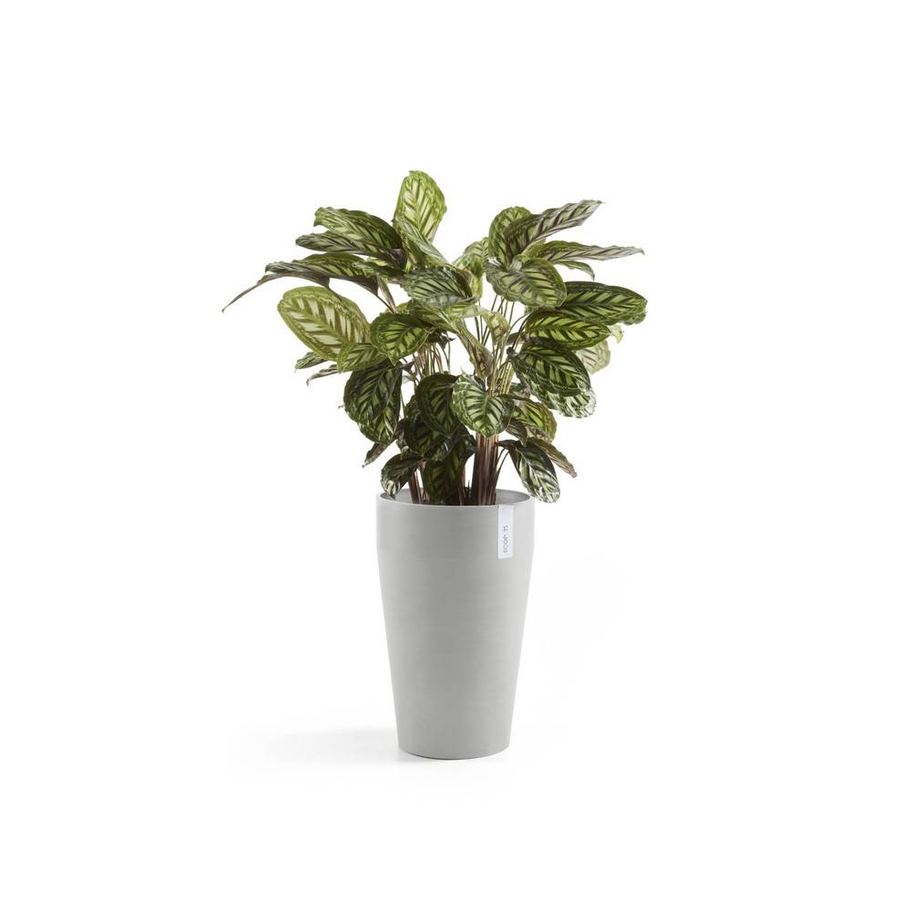 Ecopots - Pot Haut Sankara 55 Blanc Gris - Ø 35 x H. 55 cm - 36 L ECOPOTS - Imagen 3