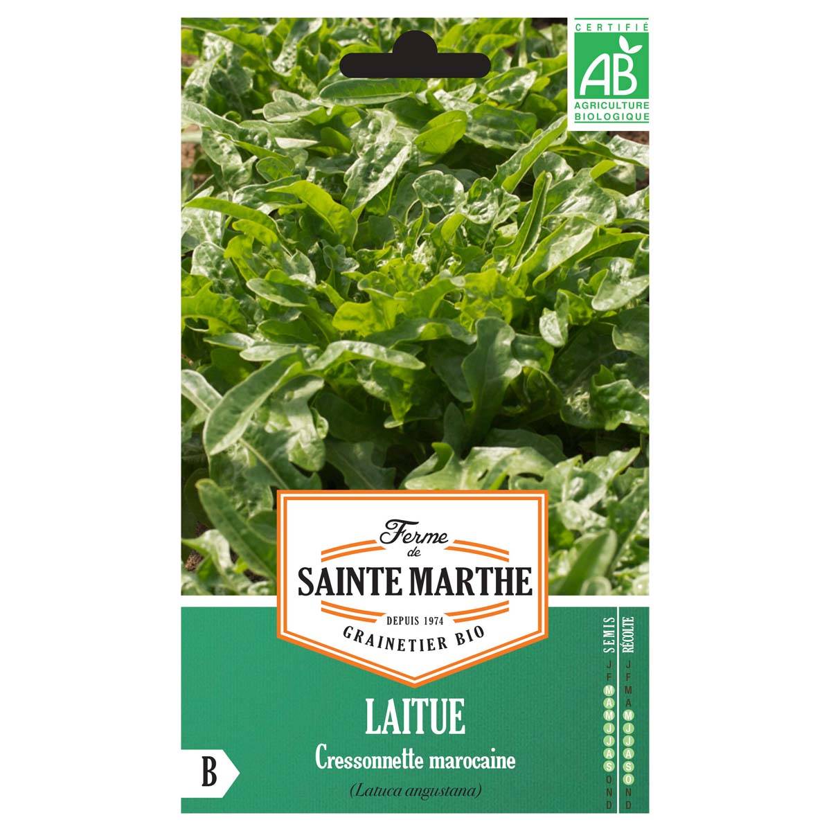 Laitue Cressonnette Marocaine (Radichetta) Bio - Ferme de Sainte Marthe - Graines de salade à couper le sachet de 400 graines environ