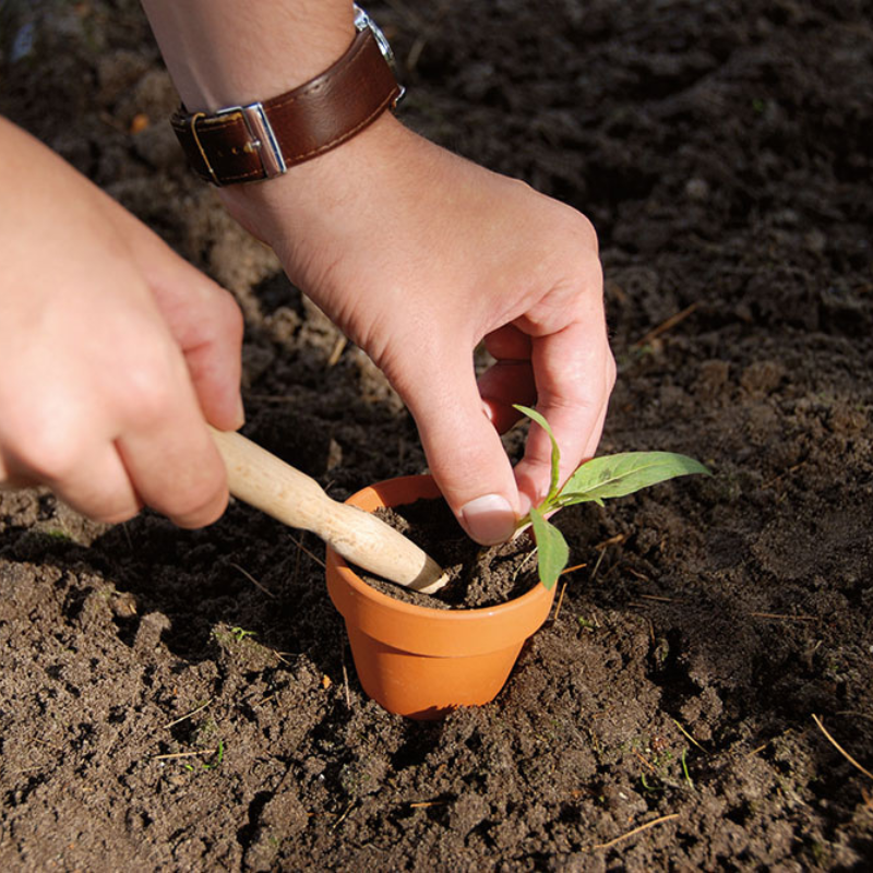 Esschert Design - Mini plantoir en bois - Esschert Design - Imagen 3