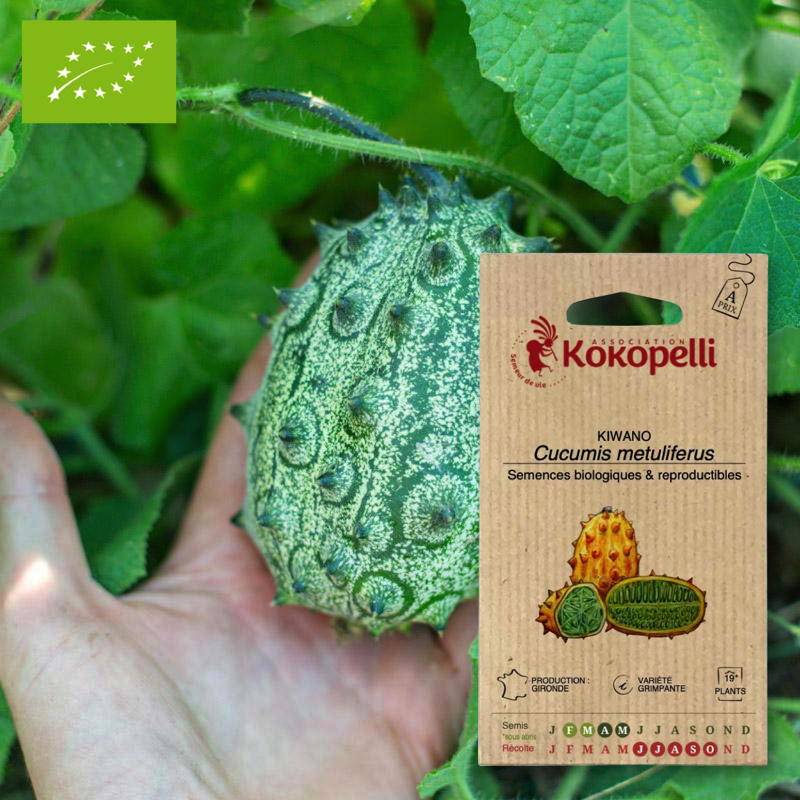 Kiwano Concombre Cornu d'Afrique- Graines bio à semer - Imagen 1