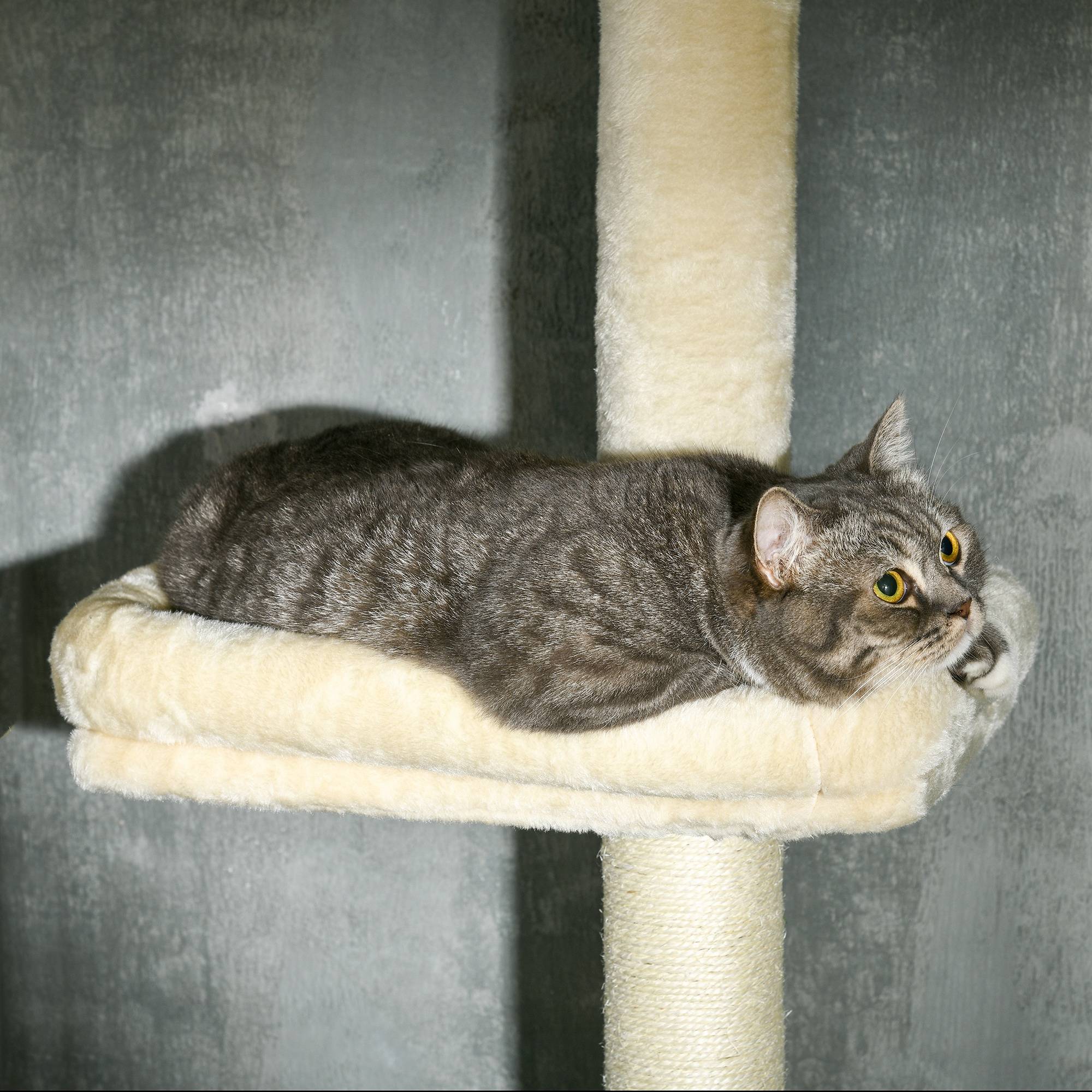 Pawhut - Arbre à chat hauteur réglable 230-260 cm - niche, 3 plateformes - douce peluche courte beige - Imagen 8