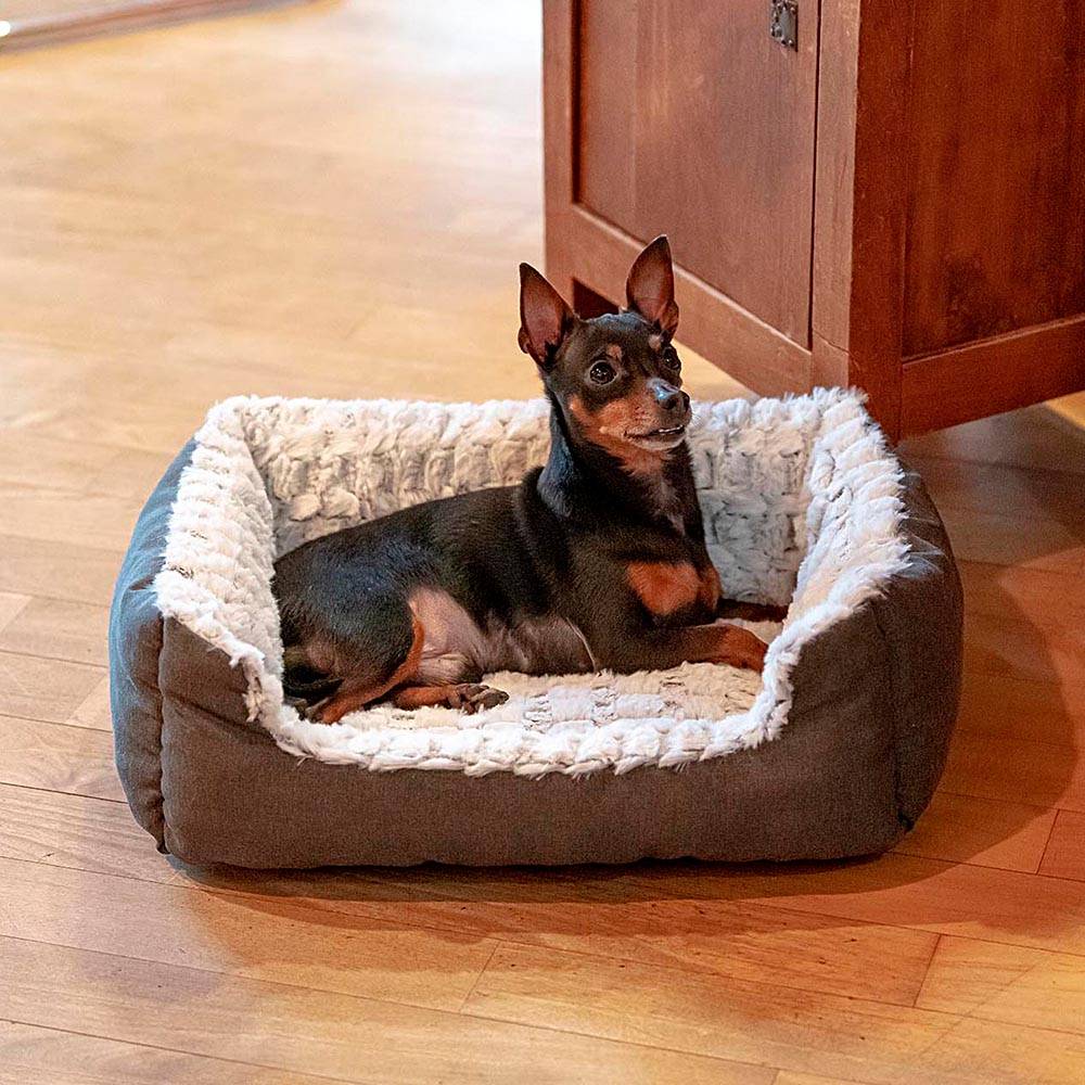 Ferplast - Ferplast Panier Chien Coussin Chien Petite taille Panier Chat Coussin Chat Doux et Confortable 91 x 72 x h 19 cm. Gris - Imagen 3