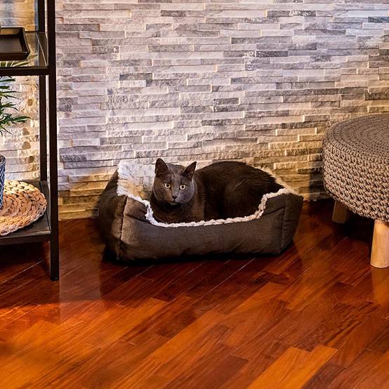 Ferplast - Ferplast Panier Chien Coussin Chien Petite taille Panier Chat Coussin Chat Doux et Confortable 91 x 72 x h 19 cm. Gris - Imagen 4