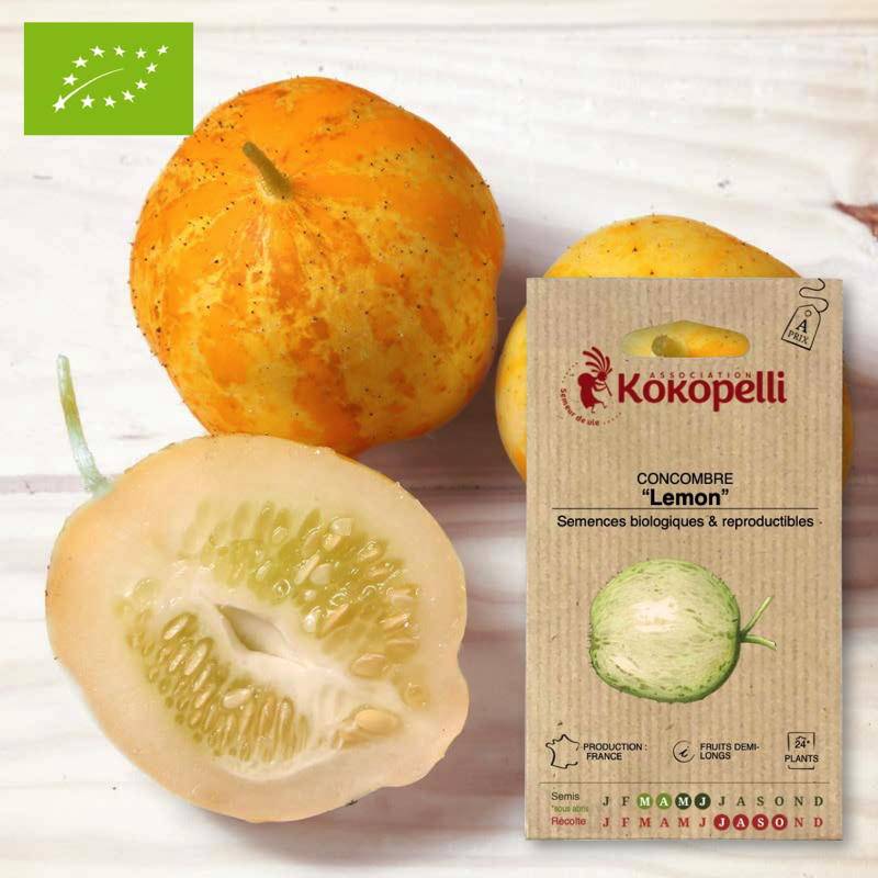 Concombre Lemon- Graines bio à semer - Imagen 1