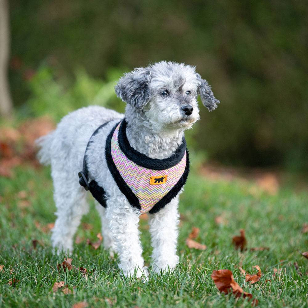 Ferplast - NIKITA FUR M Harnais pour Chien, Respirant, Fourrure Ecologique Douce, Sangle Réglable, Tartan - Imagen 4