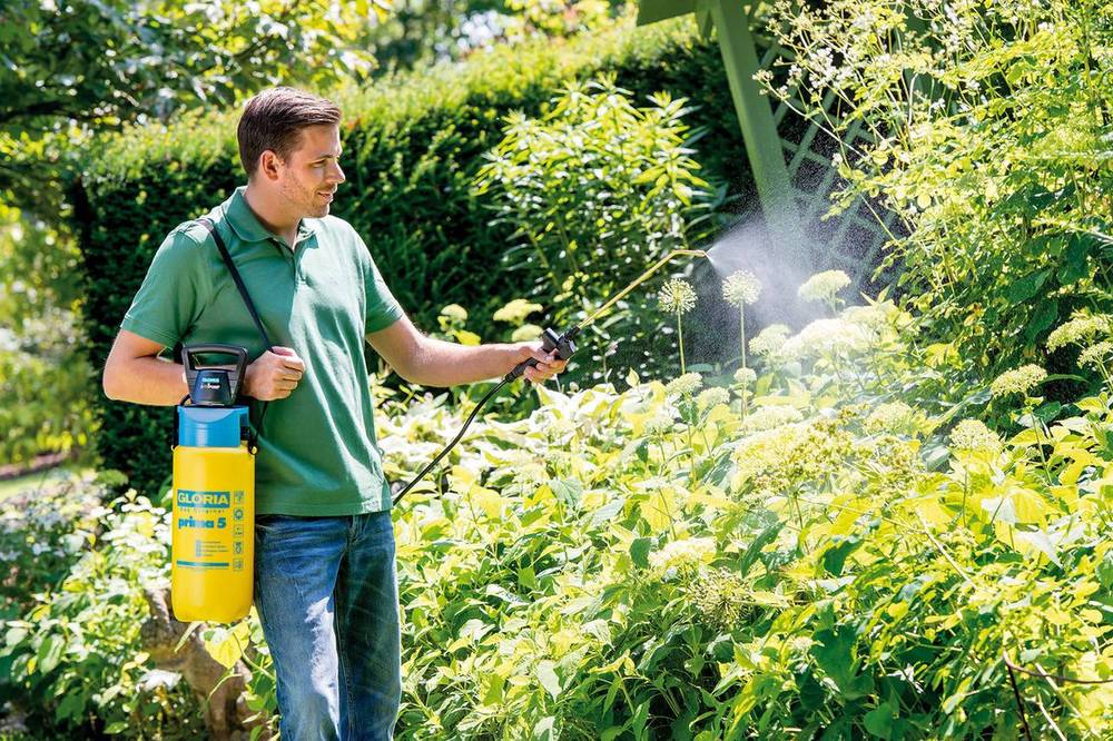 Gloria - Pulvérisateur à pression avec pompe électrique intégrée - 5L Gloria - Imagen 4