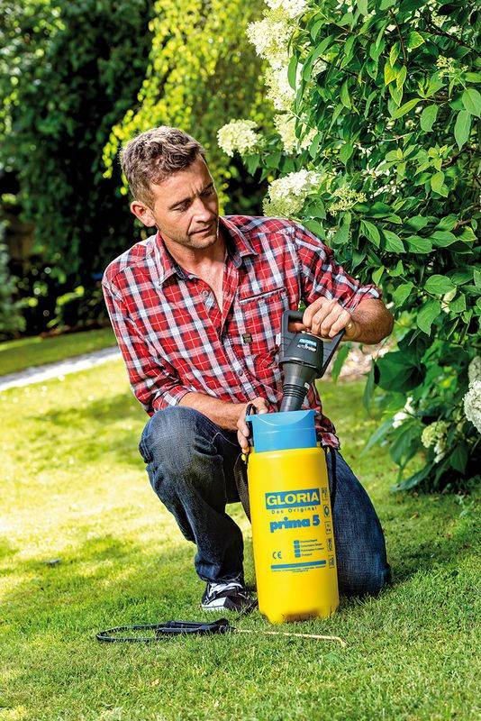 Gloria - Pulvérisateur à pression avec pompe électrique intégrée - 5L Gloria - Imagen 3