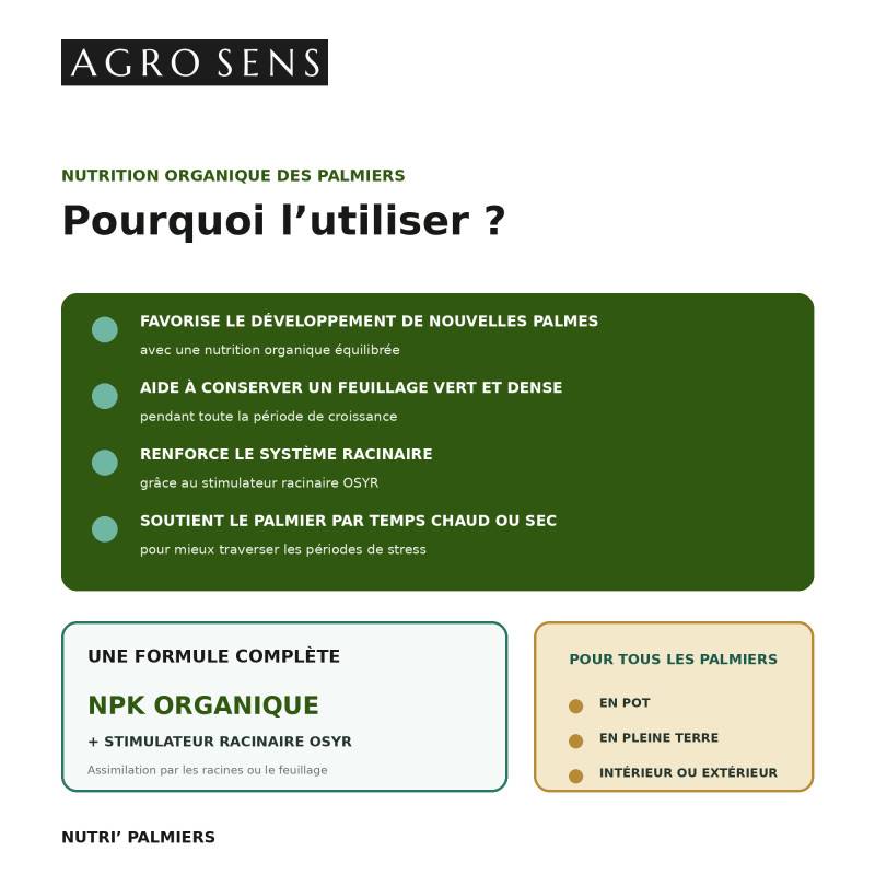 Nutri Palmiers - Engrais liquide pour palmiers et yuccas - 500 ml (250 litres de préparation) - Image 3