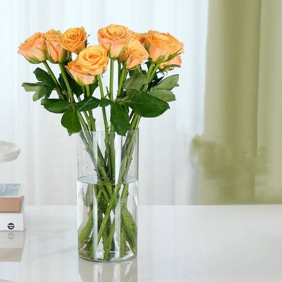 MCBOSON Vase Transparent en Plastique 10*20CM Pack de deux - Image 1