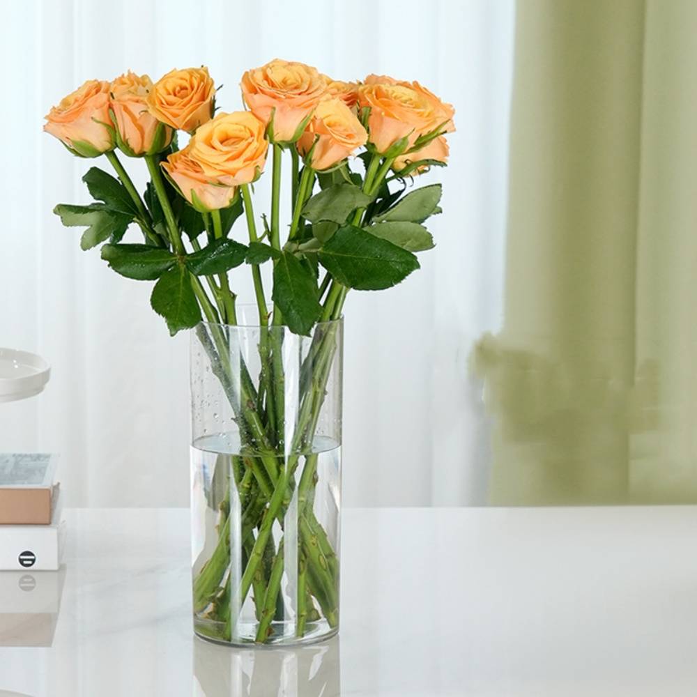 MCBOSON Vase Transparent en Plastique 10*20CM Pack de deux - Image 1