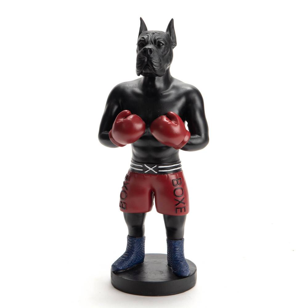 Amadeus - Chien boxer boxe