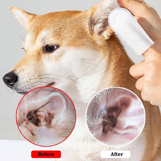 50 Doigtiers de soin des oreilles pour animaux - Image 4