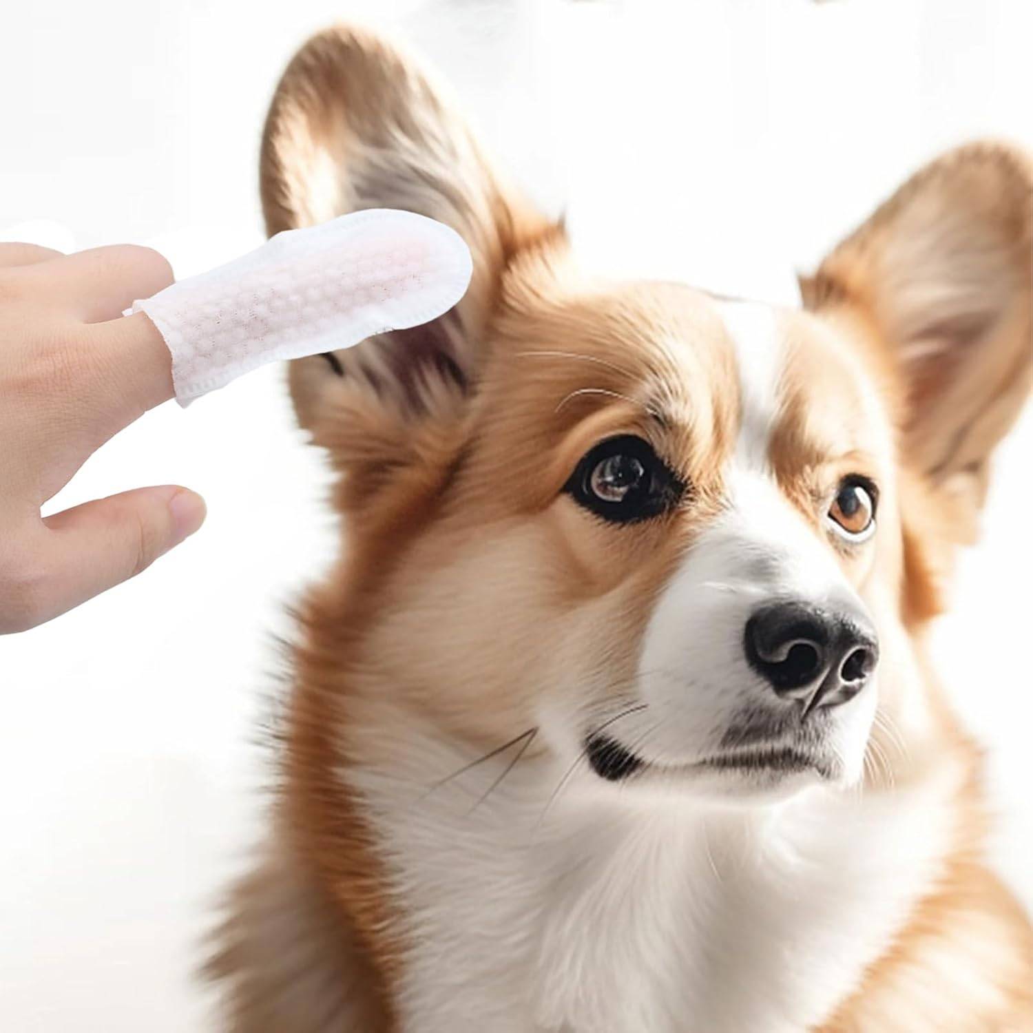 50 Doigtiers de soin des oreilles pour animaux - Image 3
