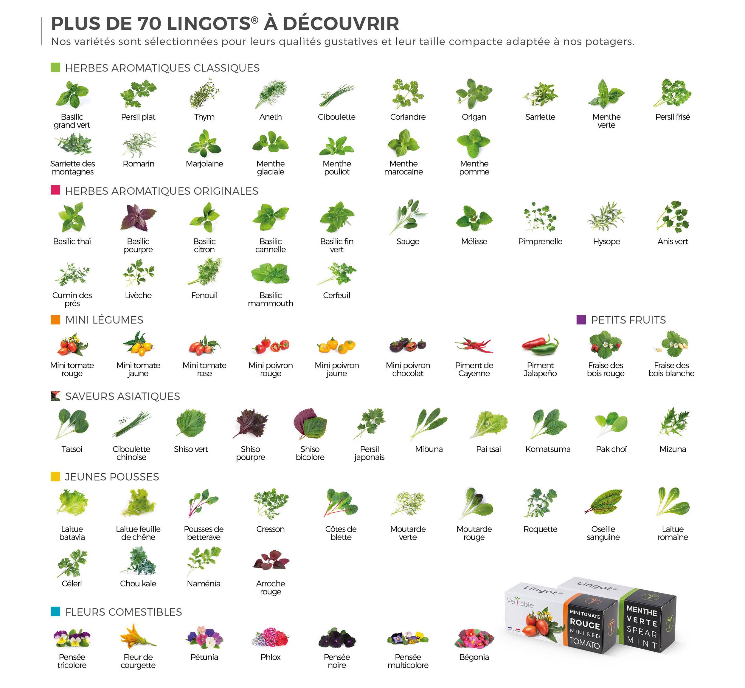 Veritable - Lingot Persil plat BIO - Recharge prête à l'emploi - Véritable - Image 5