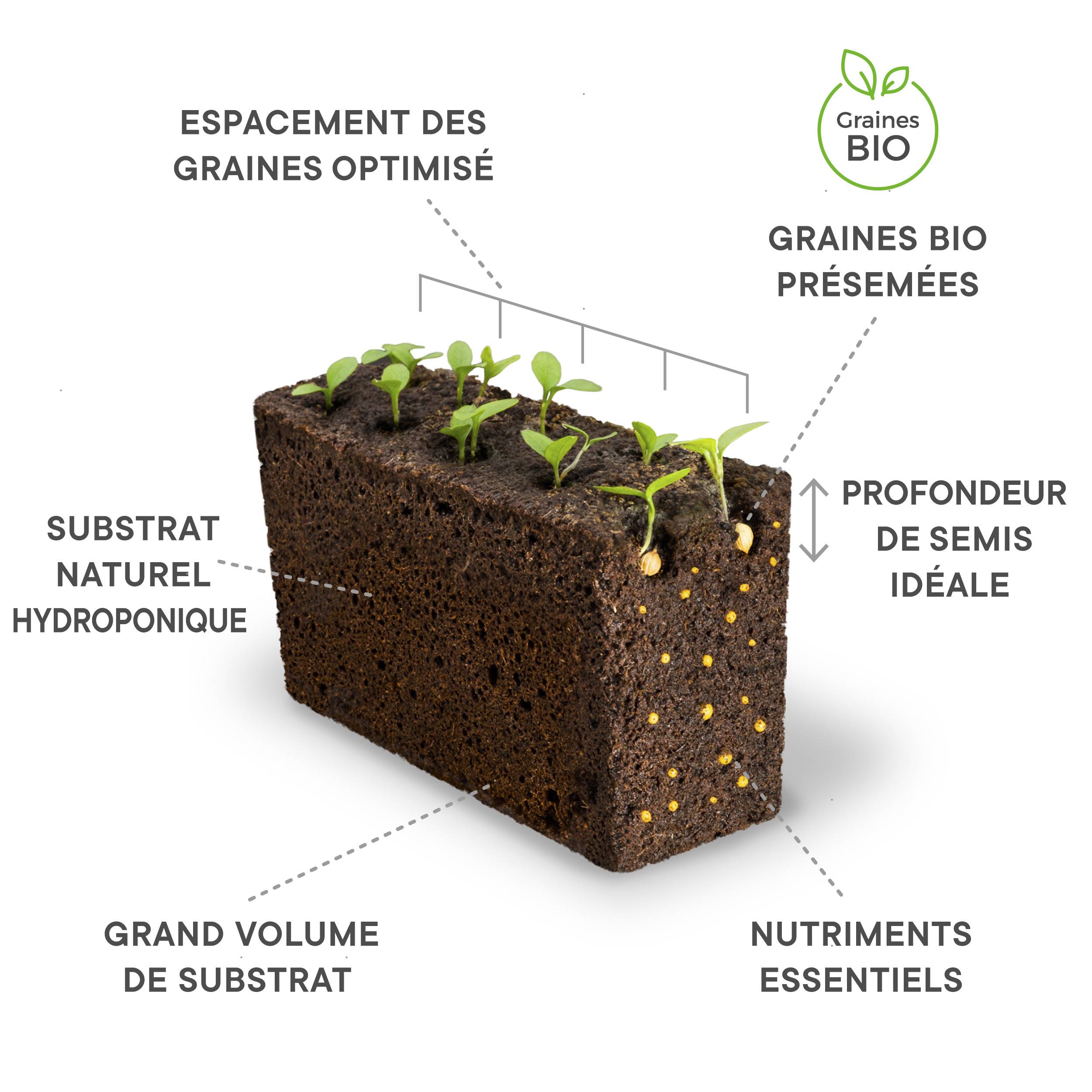 Veritable - Lingot Persil plat BIO - Recharge prête à l'emploi - Véritable - Image 3