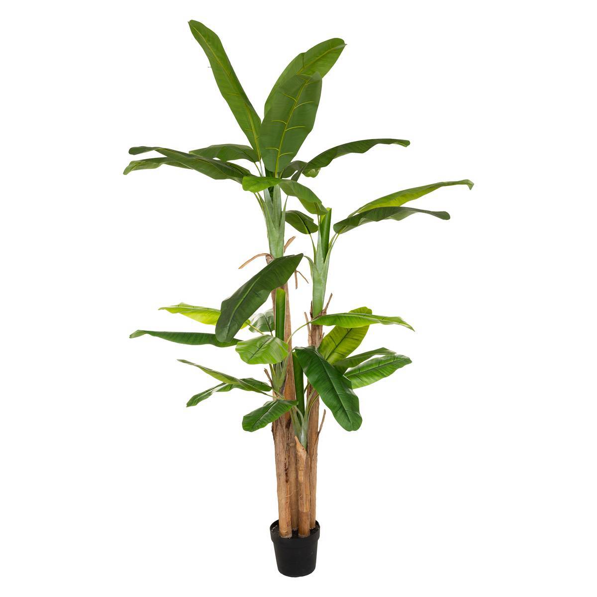 Atmosphera - Bananier artificiel géant H285cm - Atmosphera Créateur d'intérieur - Imagen 1