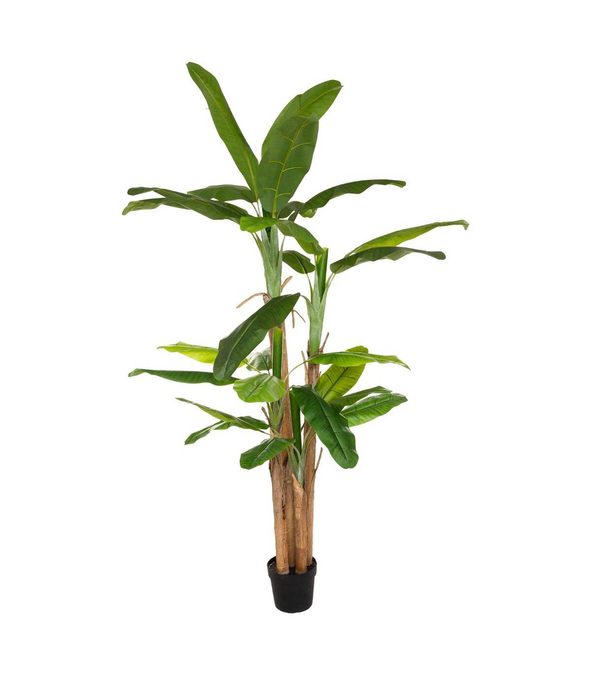 Grand Bananier artificiel en Pot H 285 cm - Imagen 1
