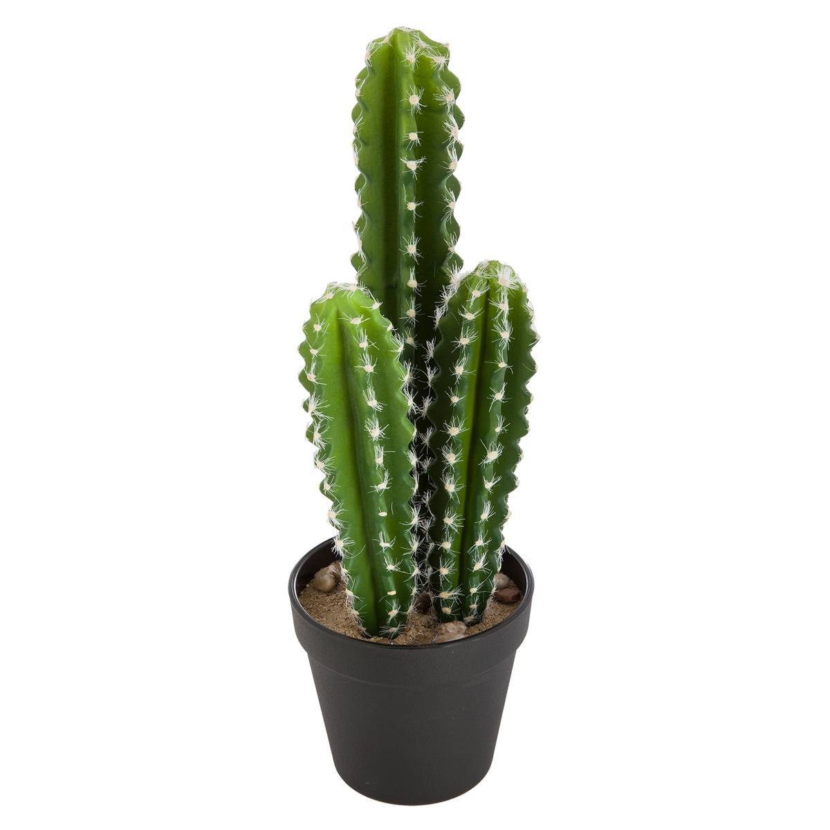 Atmosphera - Cactus artificiel H42cm - Atmosphera Créateur d'intérieur - Imagen 3