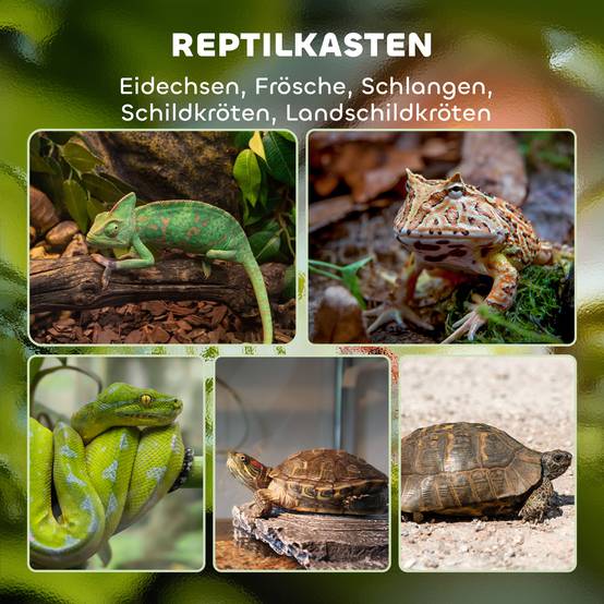 ComfortXL - Terrarium reptiles en verre trempé 45 x 45 x 60 cm noir 120 L ventilé verrouillable avec gestion des câbles - Image 4