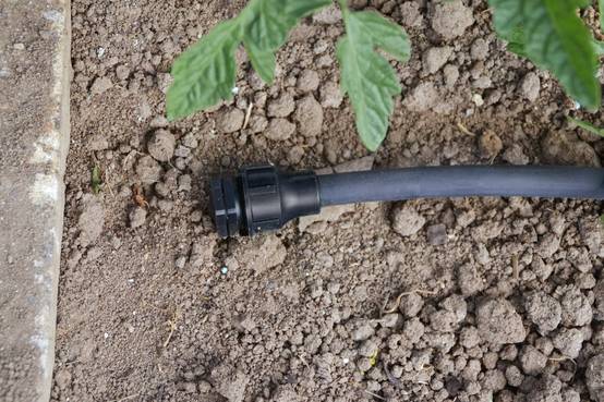 Jardibric - Jardibric - Bouchon de Conduite Principale Ø20 mm pour Arrosage Goutte à Goutte - Raccord de Fermeture Étanche pour Système d'Irrigation Durable - Image 2