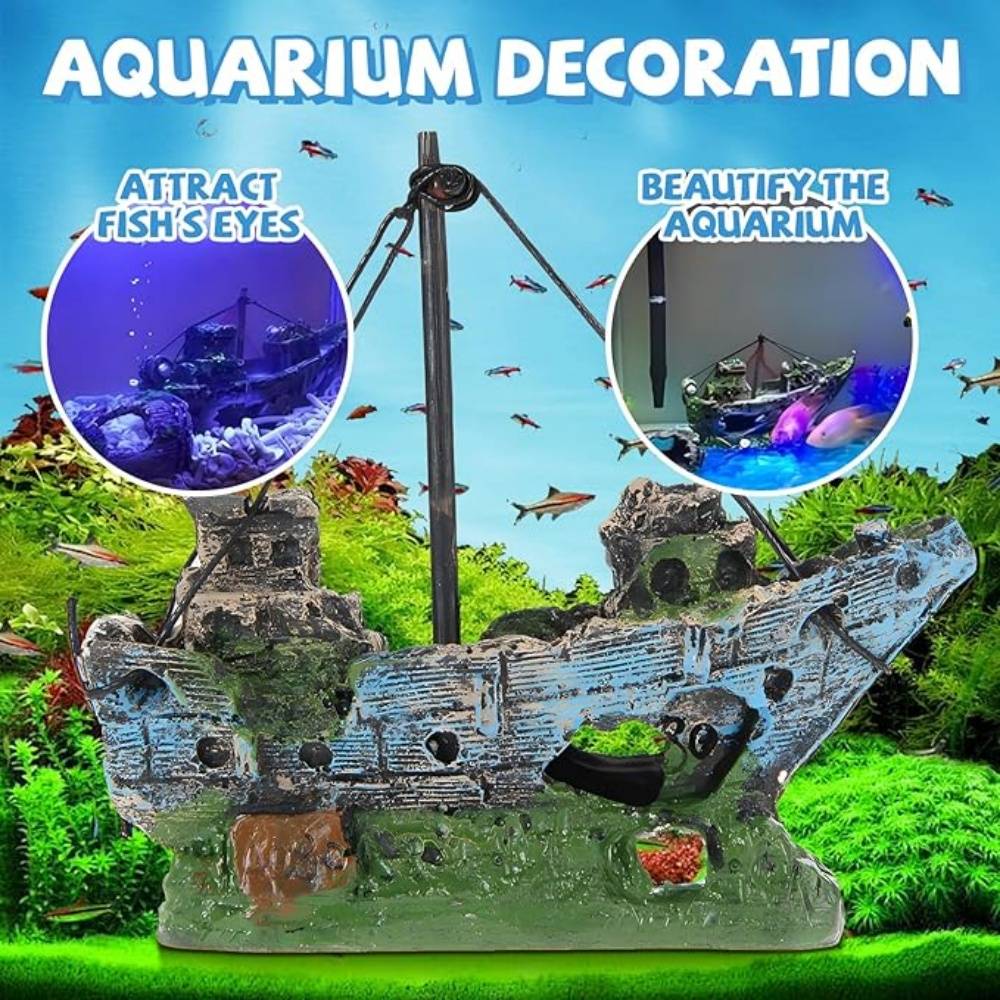 Accessoires Navire Pour Aquarium - Image 4