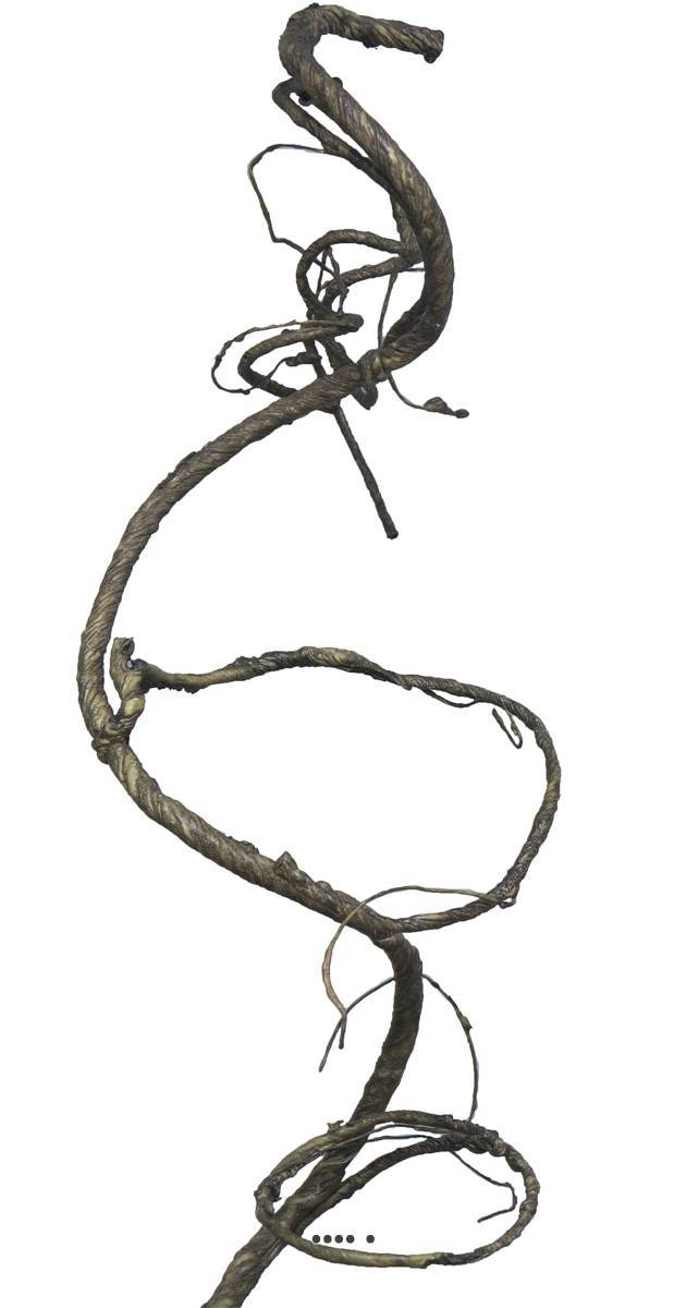 Artificielles - Branche de bois enroulée artificielle, H 90 cm - BEST - Imagen 2