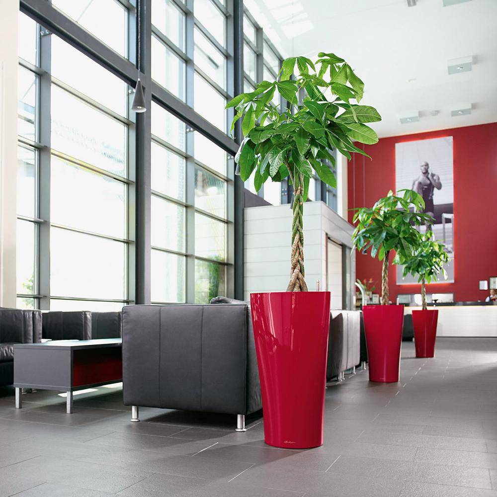 Lechuza - Delta Premium 40 - kit complet, rouge scarlet brillant 75 cm Lechuza - Imagen 3