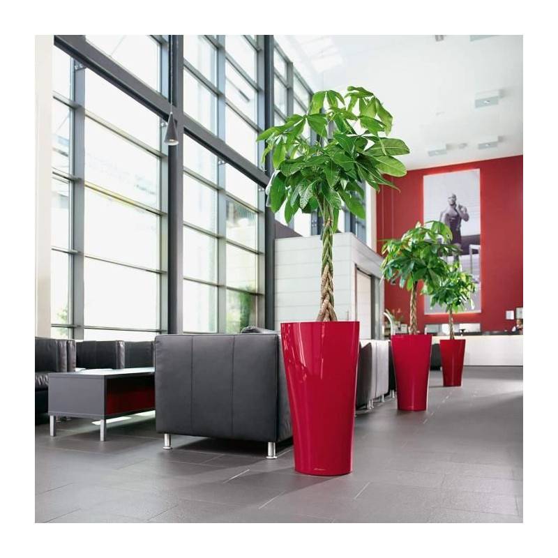 Lechuza - Delta Premium 40 - kit complet, rouge scarlet brillant 75 cm Lechuza - Imagen 5