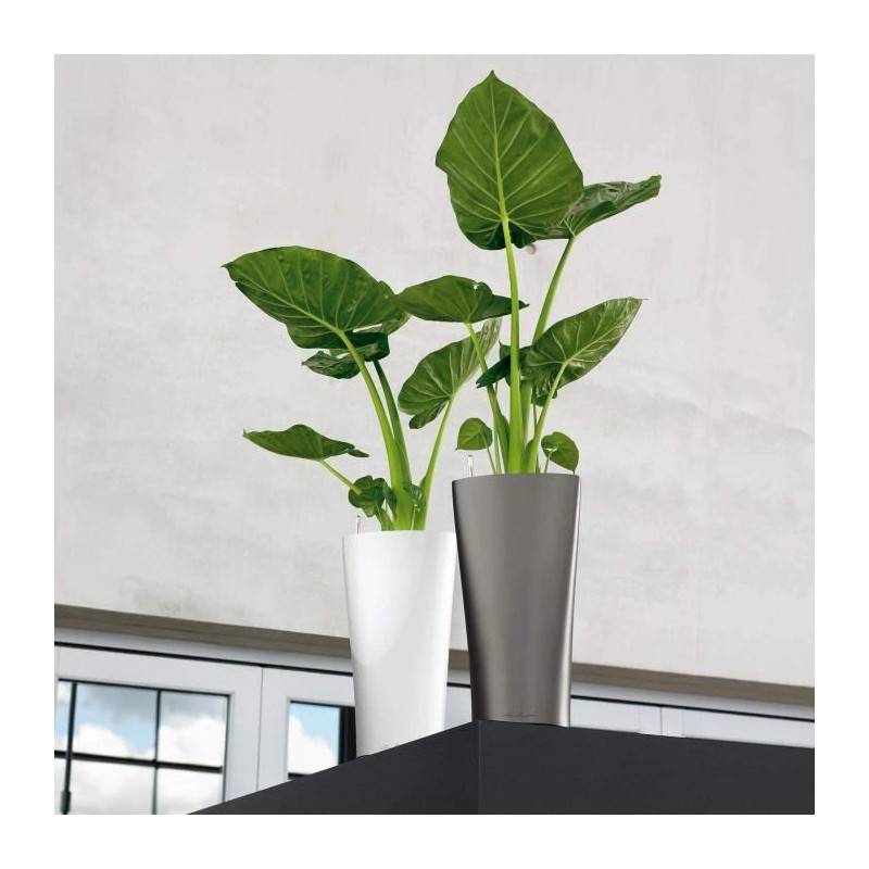 Lechuza - Delta Premium 40 - kit complet, rouge scarlet brillant 75 cm Lechuza - Imagen 4