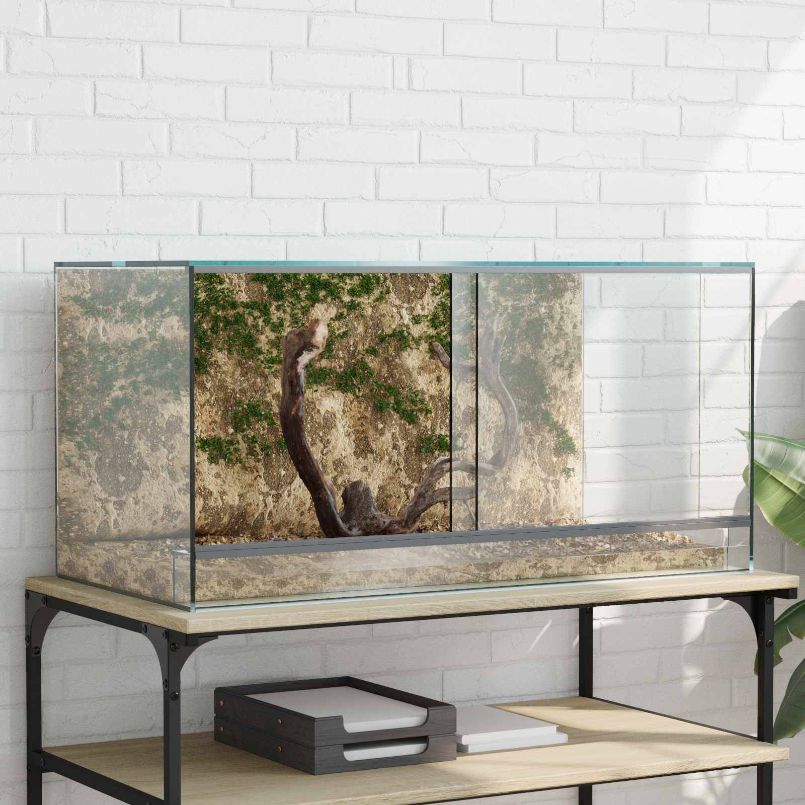 Vidaxl - Terrarium avec stockage Transparent 80 x 40 x 40 cm Verre vidaXL 42020392 - Image 1