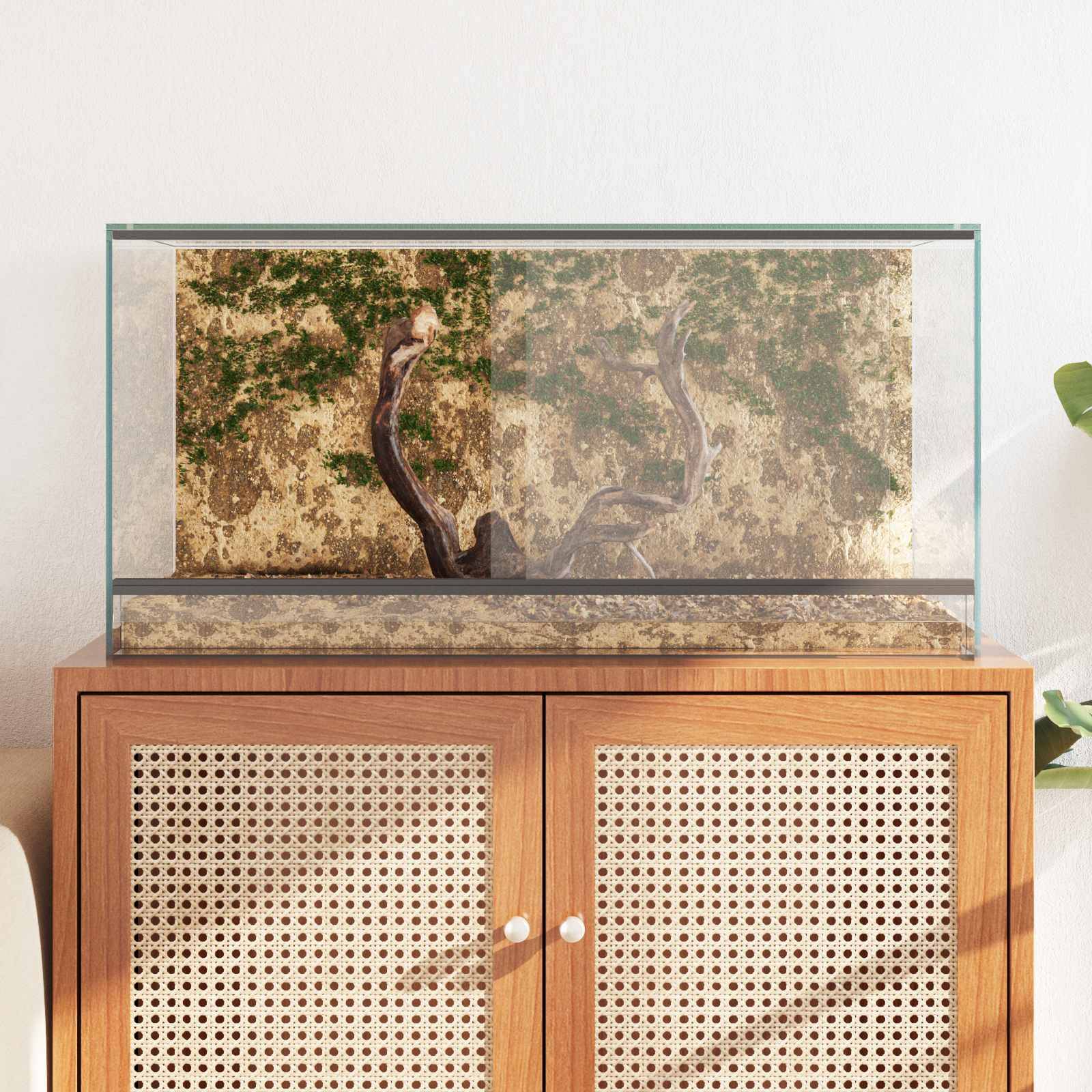 Vidaxl - Terrarium avec stockage Transparent 80 x 40 x 40 cm Verre vidaXL 42020392 - Image 5