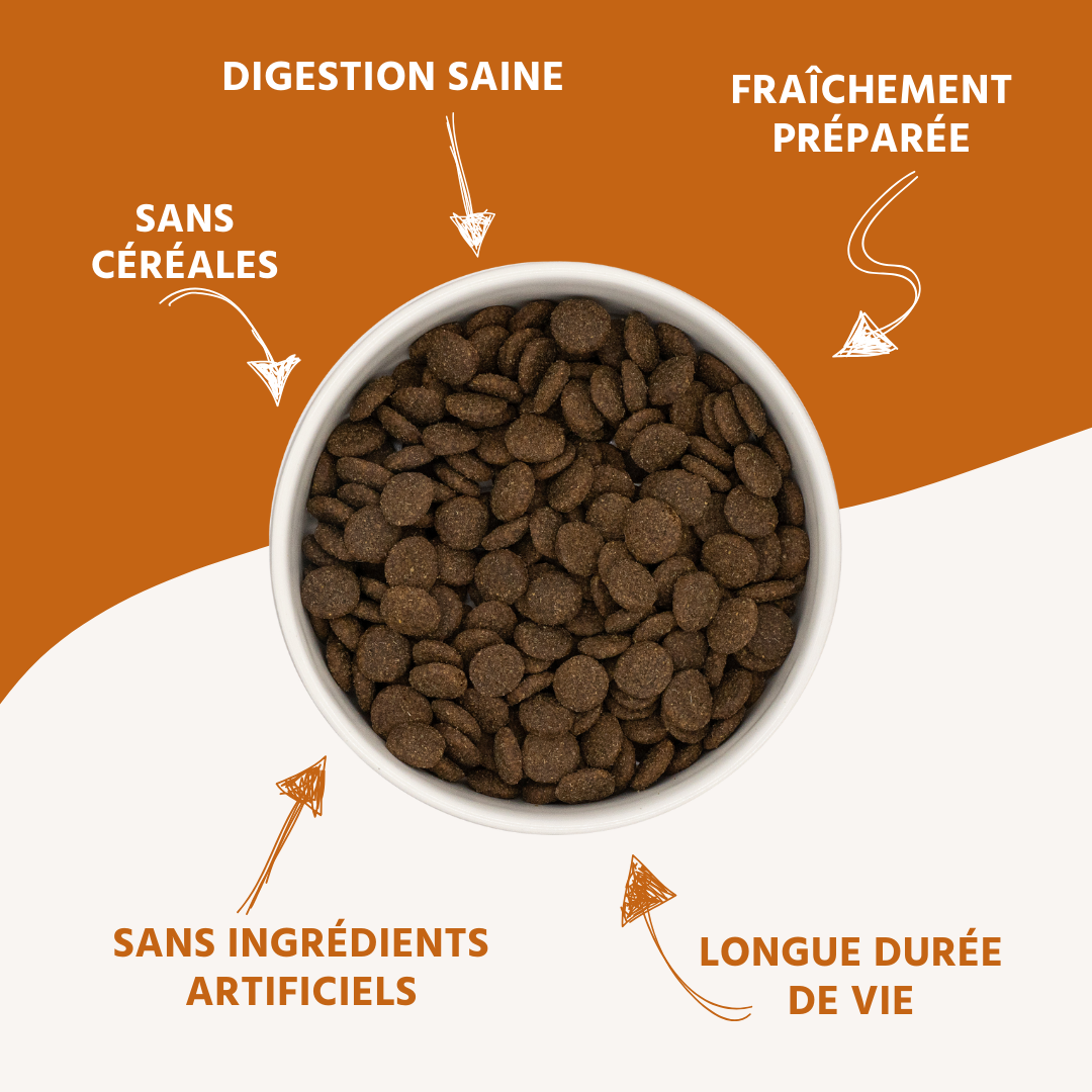 Wildfang - Wildfang Croquettes adultes à l'agneau - sans céréales - 2 x 2 kg - Image 3