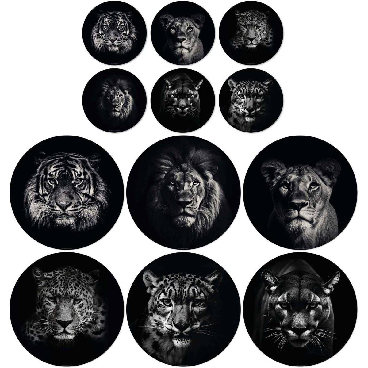 Lot de 6 sets de table et de 6 dessous de verre motifs assortis - Imagen 1