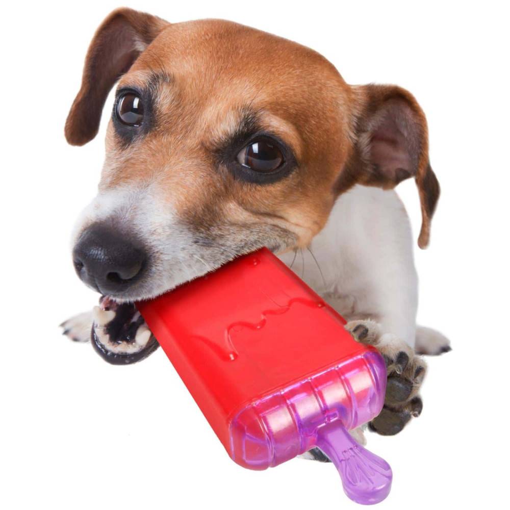 Flamingo - Flamingo - Jouet rafraîchissant LOLLY en TPR 16 cm pour chien - Imagen 1