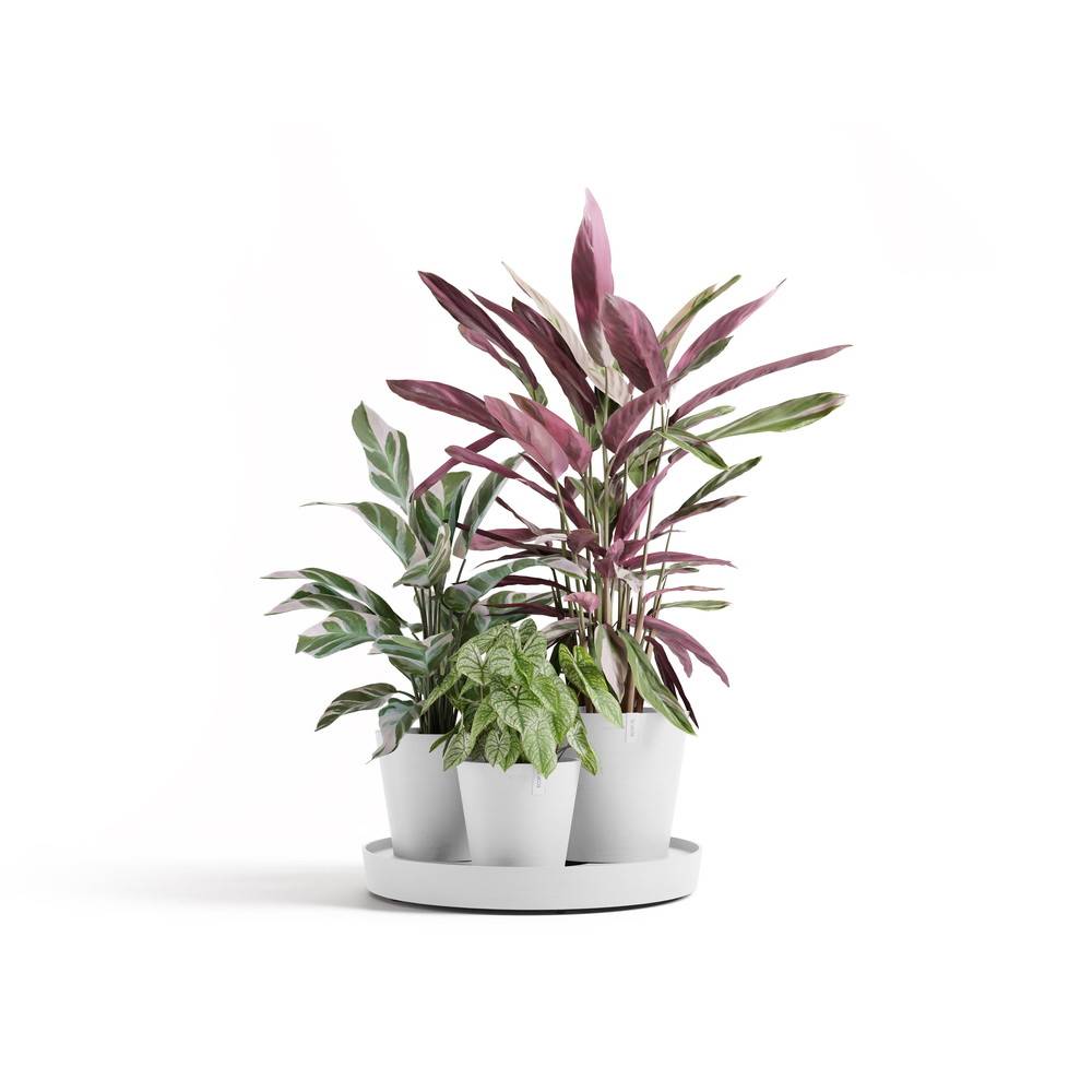 Ecopots - Ensemble de 3 pots Dubai Blanc Pur - Ø 57 x H. 30 cm - support à roulettes ECOPOTS - Imagen 2