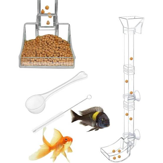 Plateau de Nourriture Transparent pour Aquarium & Crevettes L DtopbuyAge - Image 1