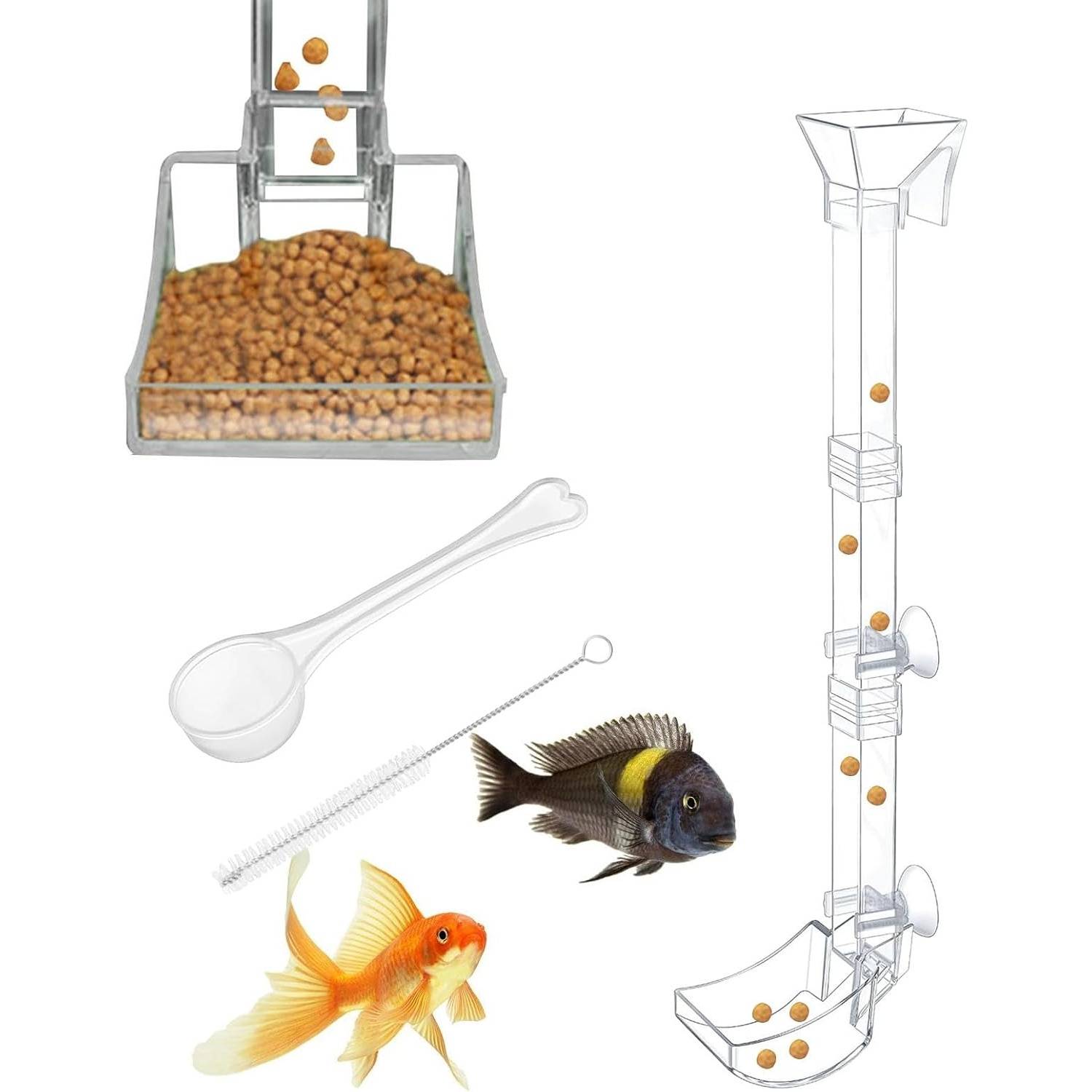 Plateau de Nourriture Transparent pour Aquarium & Crevettes L DtopbuyAge - Image 1