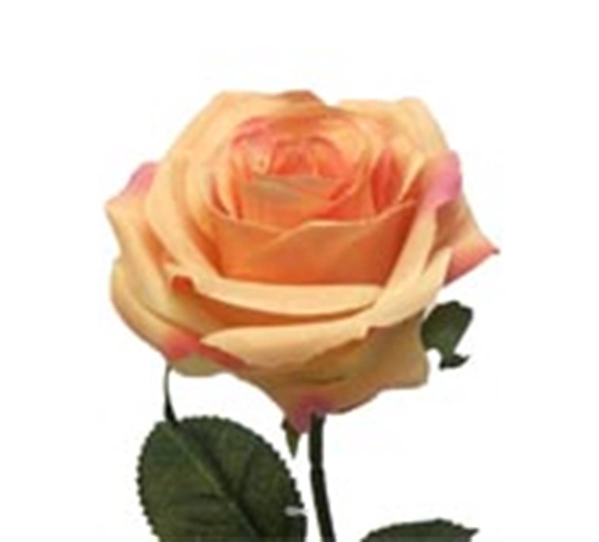 Artificielles - Rose factice Paris H64cm tête D9cm 12 feuilles tissu Rose saumon BEST - couleur: Rose saumon - Imagen 3