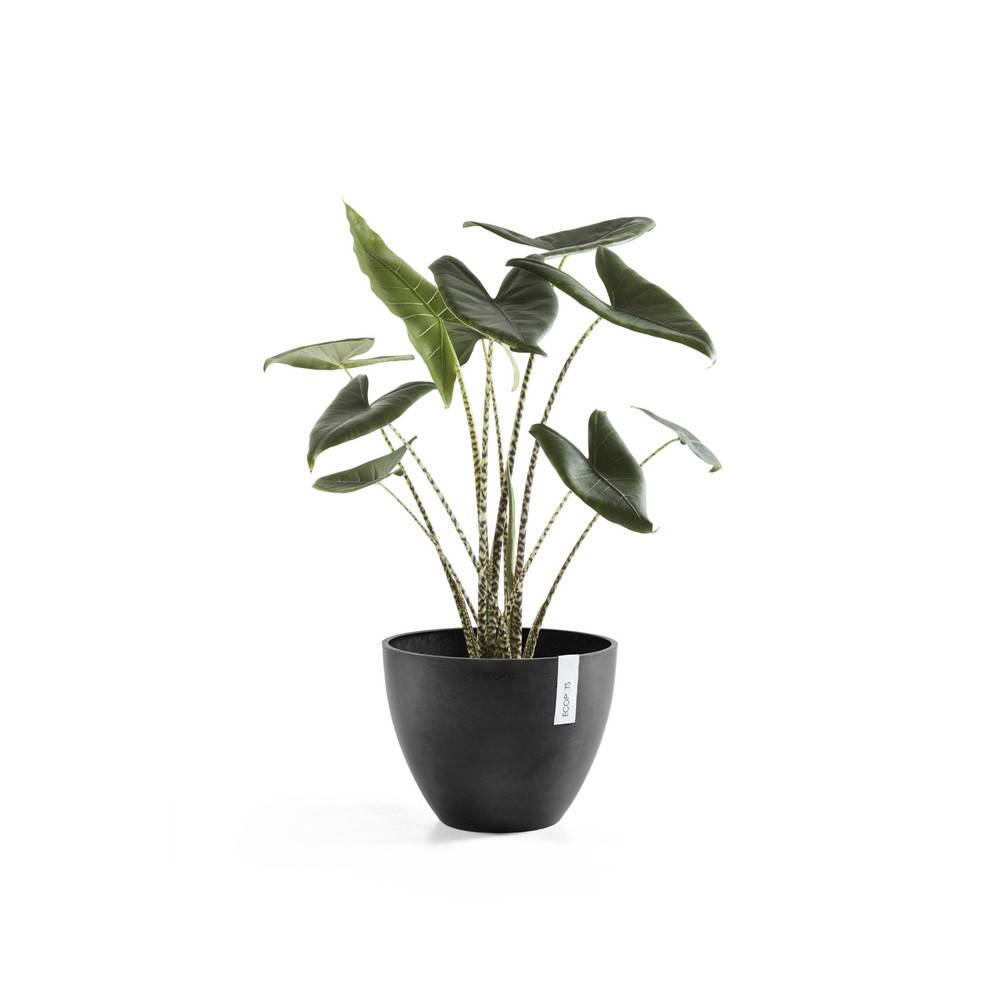 Ecopots - Pot Rond Antwerp 30 Gris Foncé - Ø 30 x H. 25,5 cm - 11,4 L ECOPOTS - Imagen 3