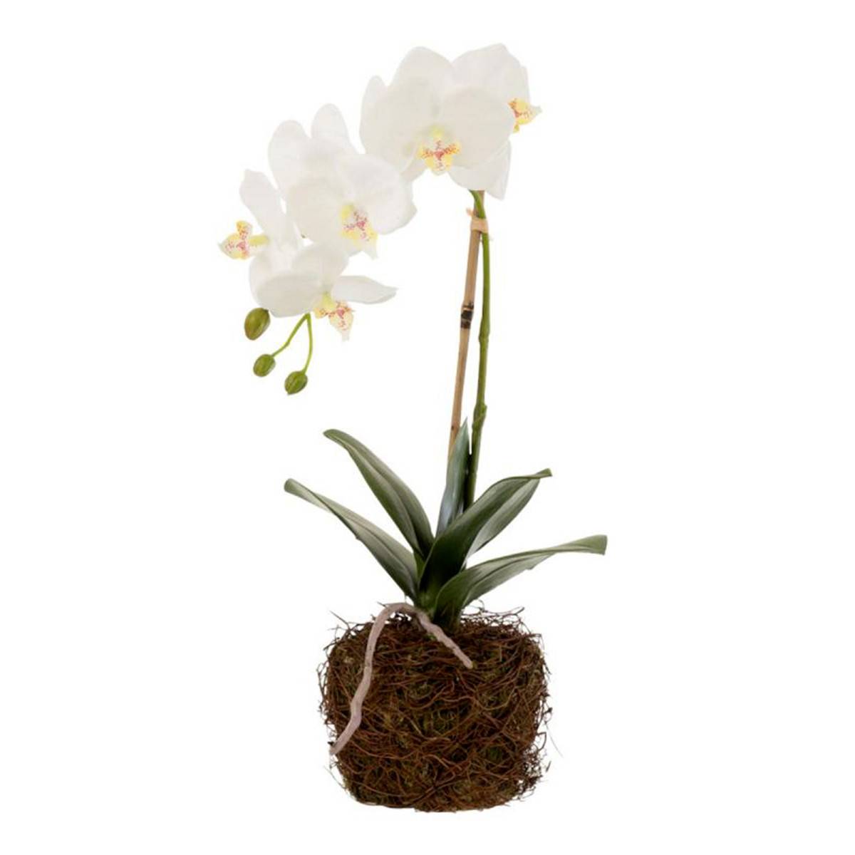 J-Line - Fleur Artificielle Déco "Orchidée en Terre" 40cm Blanc
