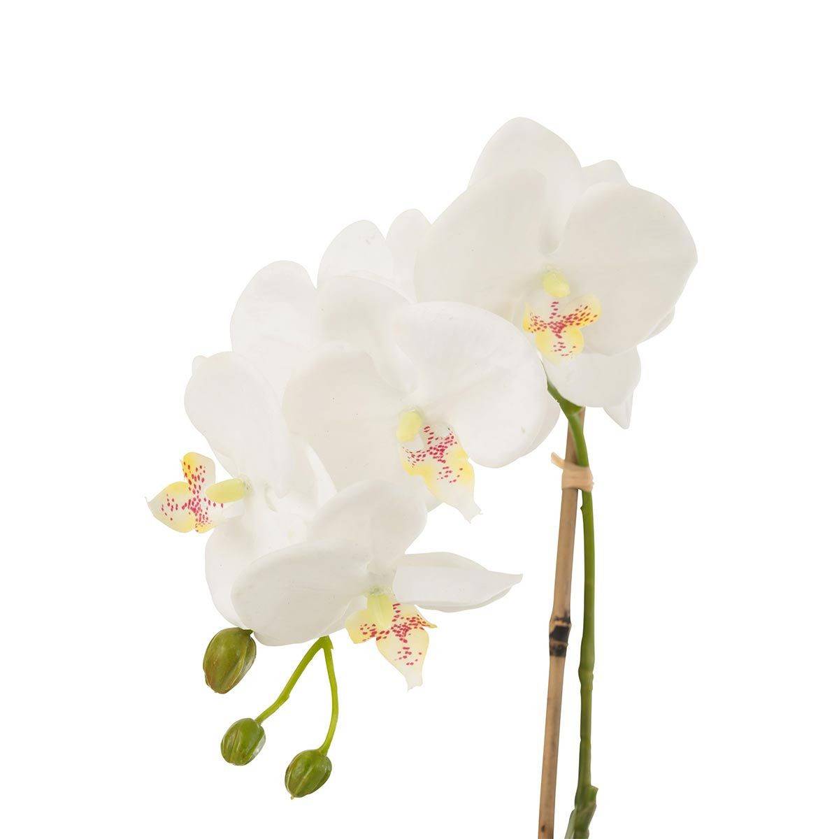 J-Line - Fleur Artificielle Déco "Orchidée en Terre" 40cm Blanc - Image 2